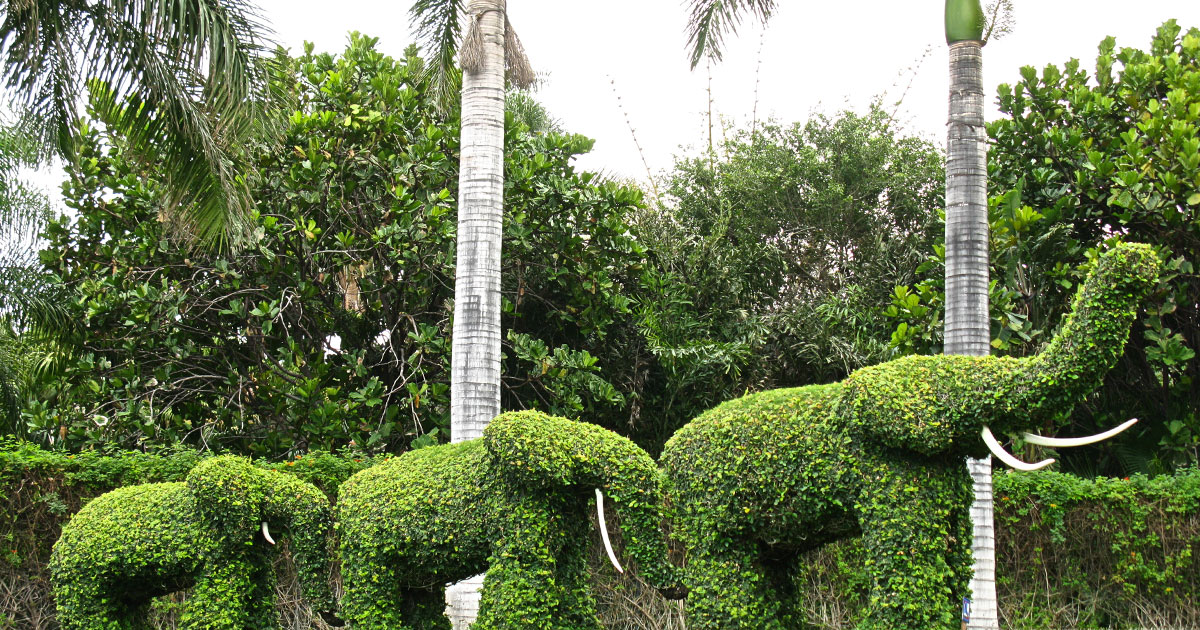 A terminal showing PostgreSQL upgrade commands